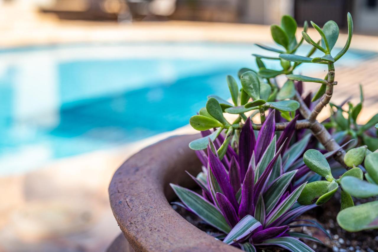Noahs Hideaway Luxury B&B Lahaina Εξωτερικό φωτογραφία