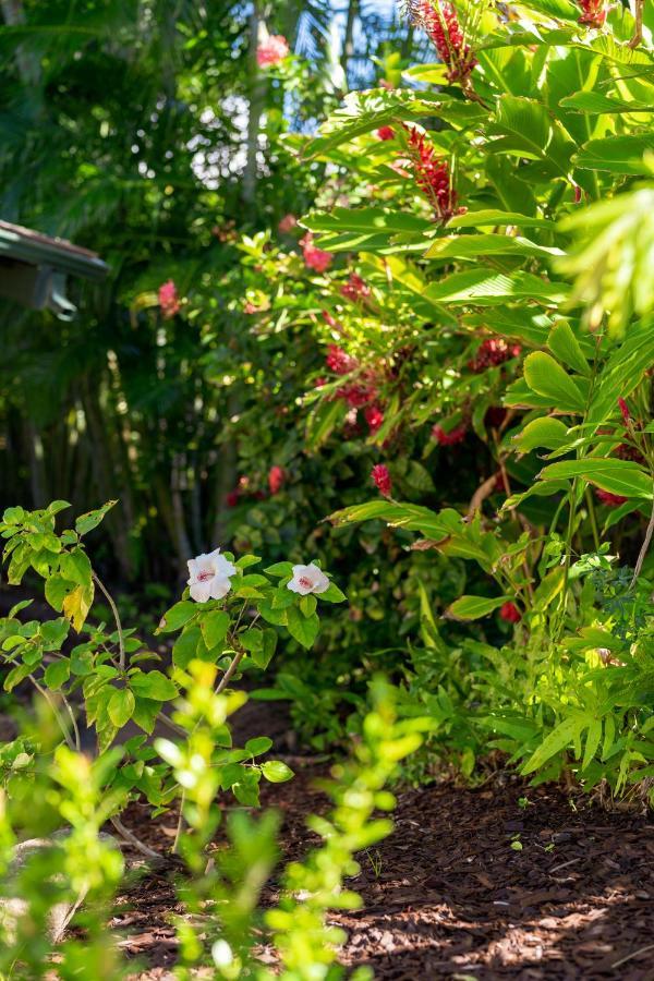 Noahs Hideaway Luxury B&B Lahaina Εξωτερικό φωτογραφία