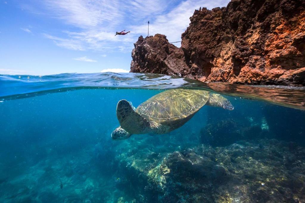 Noahs Hideaway Luxury B&B Lahaina Εξωτερικό φωτογραφία